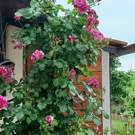 피아노로마노 Colle Perazzoni 아파트 외부 사진
