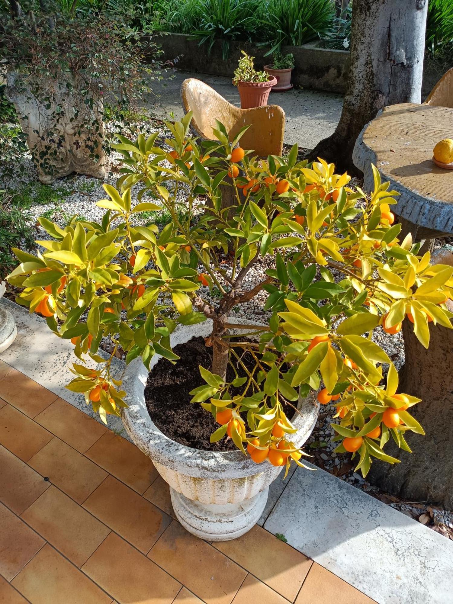 피아노로마노 Colle Perazzoni 아파트 외부 사진