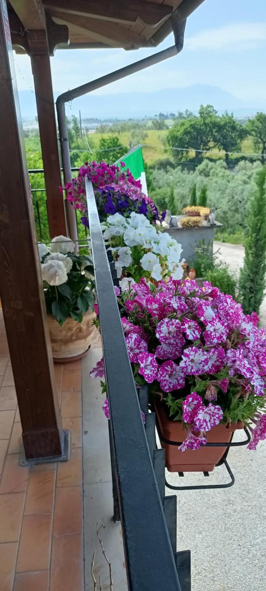 피아노로마노 Colle Perazzoni 아파트 외부 사진